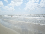 Schoorl 2011